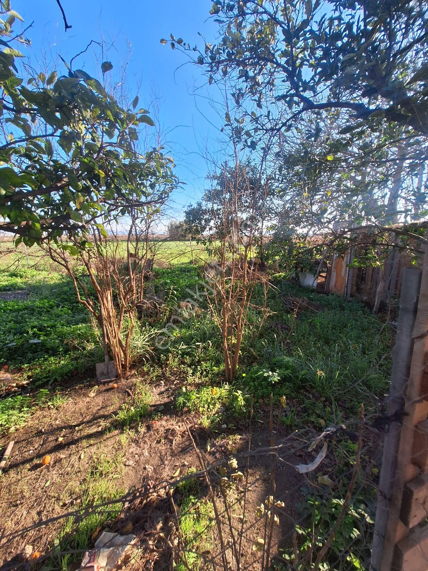 Satılık Müstakil Ev - Görsel 12