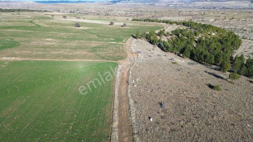 Beyşehir Yenidoğanda 2.219 M2 Müstakil Tapulu Arazi - Görsel 5