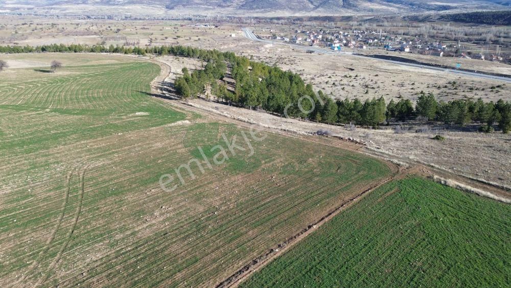 Beyşehir Yenidoğanda 2.219 M2 Müstakil Tapulu Arazi - Görsel 2