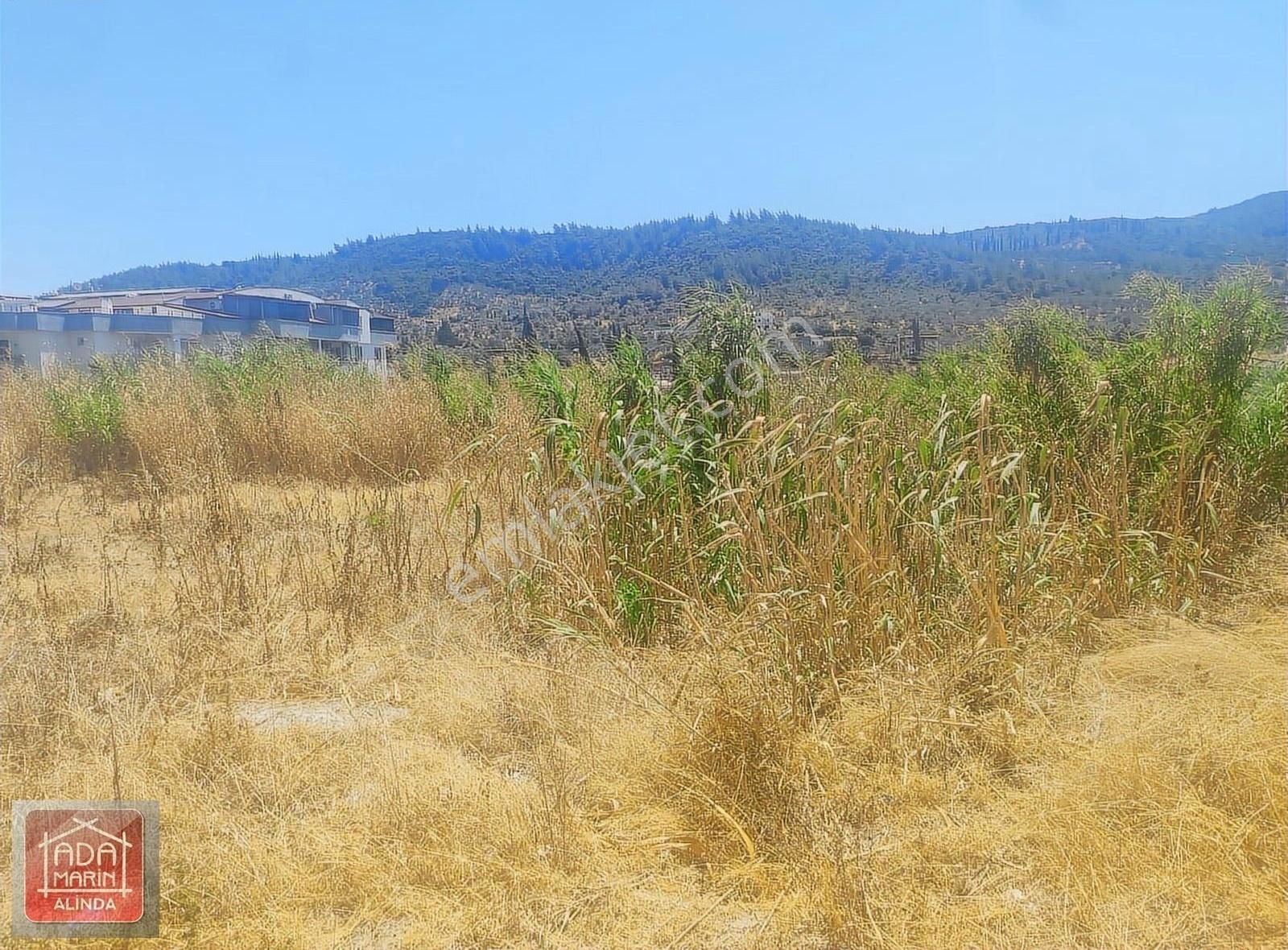 Söke Kuşadası Yolunda Ana Cadde Üzerinde, Ticari İmarlı Arsa - Görsel 13