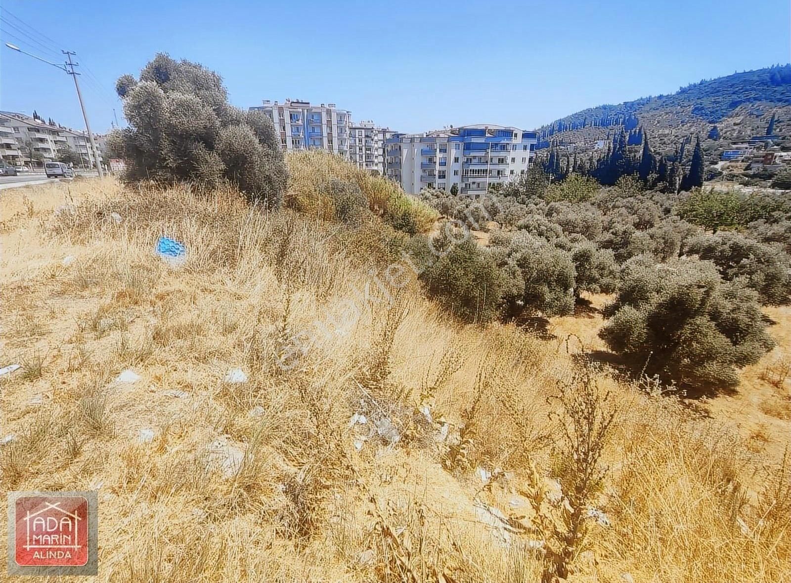 Söke Kuşadası Yolunda Ana Cadde Üzerinde, Ticari İmarlı Arsa - Görsel 11