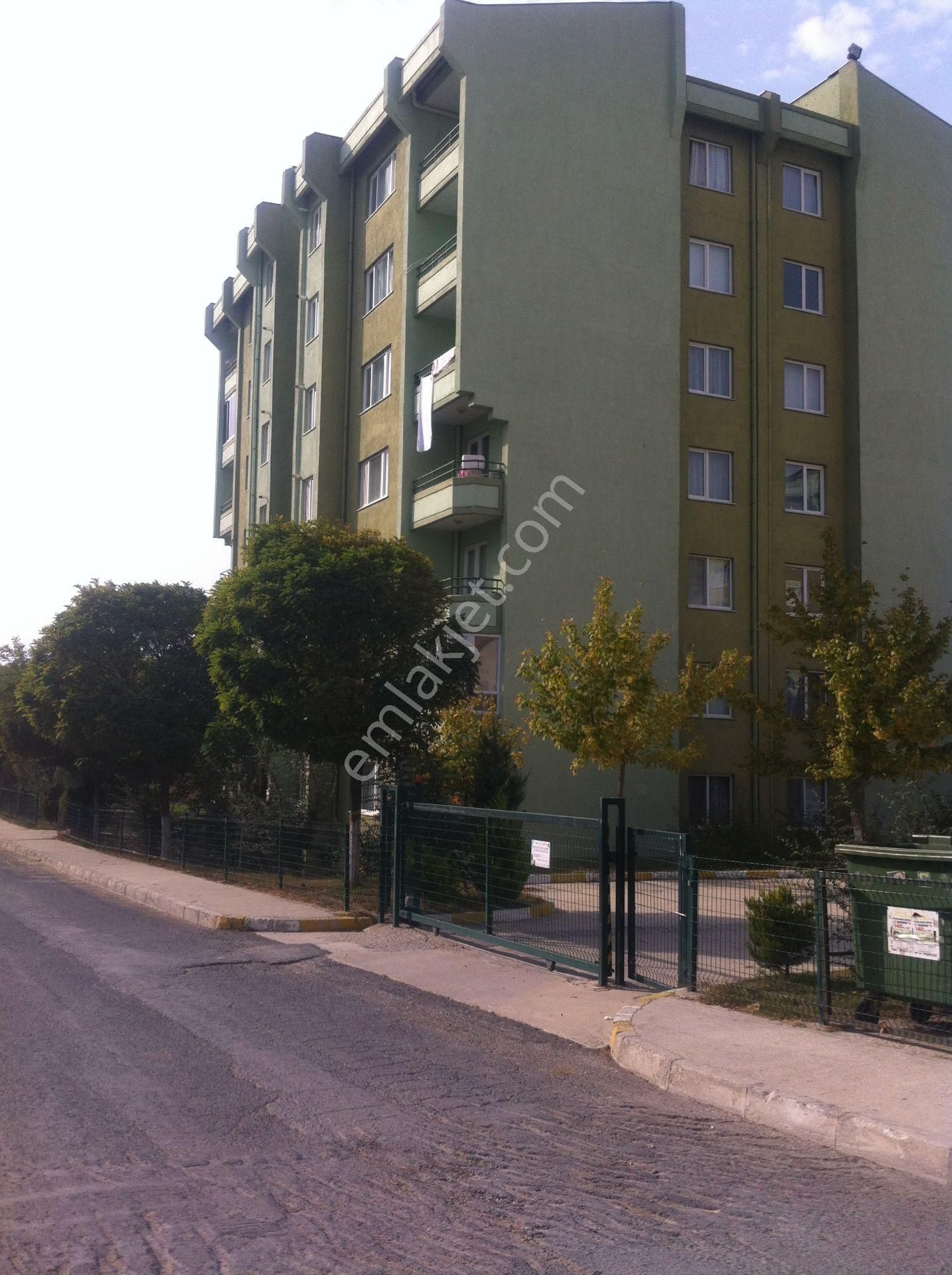 Memura Kiralık Daire Sahibinden Temiz Sıfır Boyalı - Görsel 7