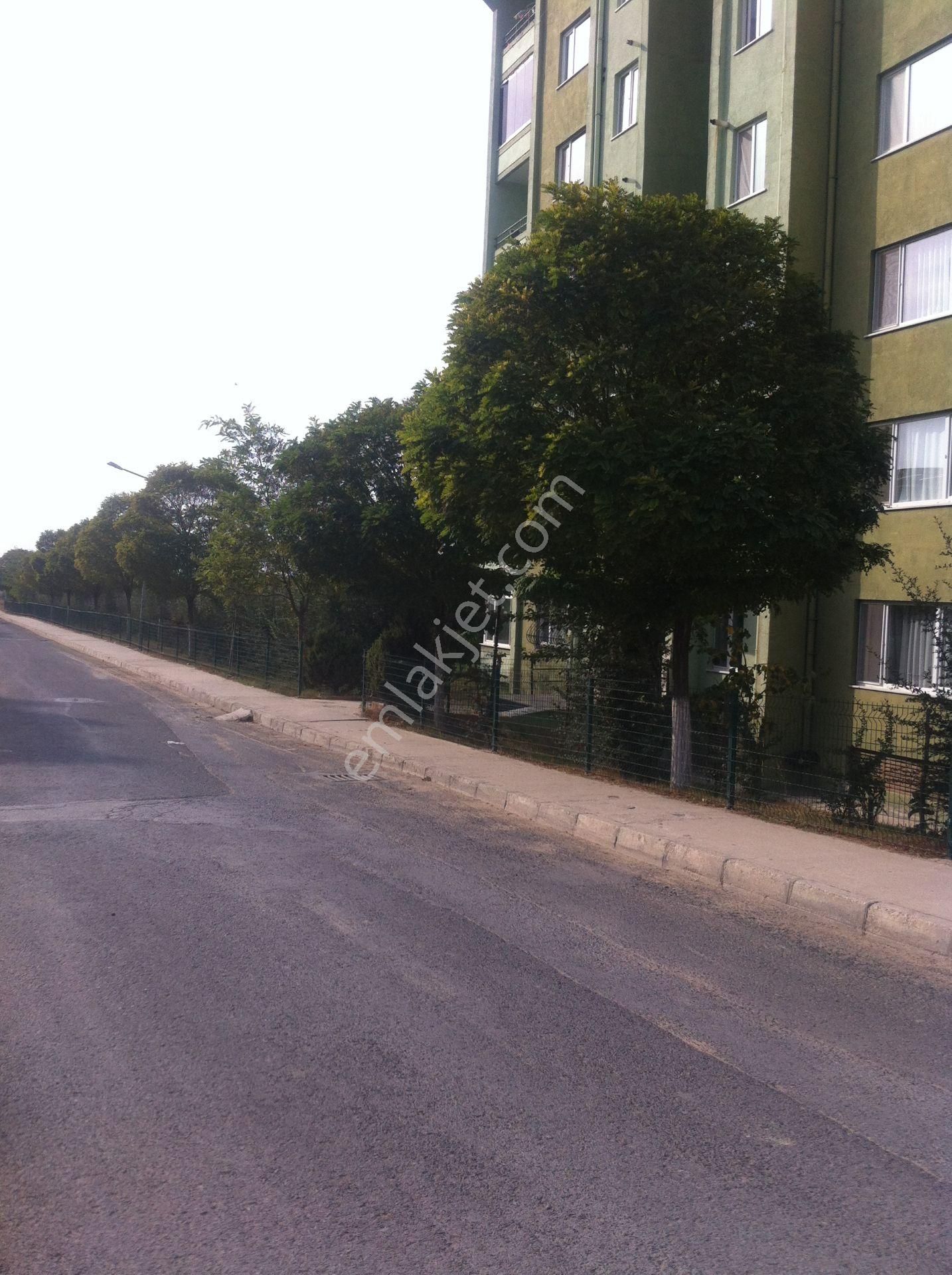 Memura Kiralık Daire Sahibinden Temiz Sıfır Boyalı - Görsel 8