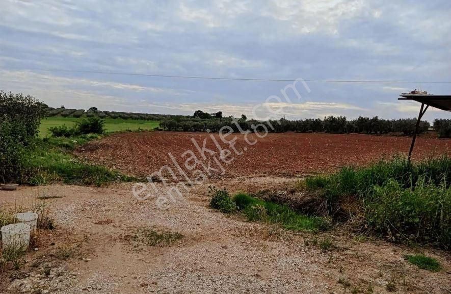 Karacabey Danişment'te 7,450 M2 Satılık Arazi - Görsel 6
