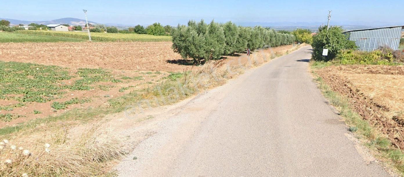 Karacabey Danişment'te 7,450 M2 Satılık Arazi - Görsel 5