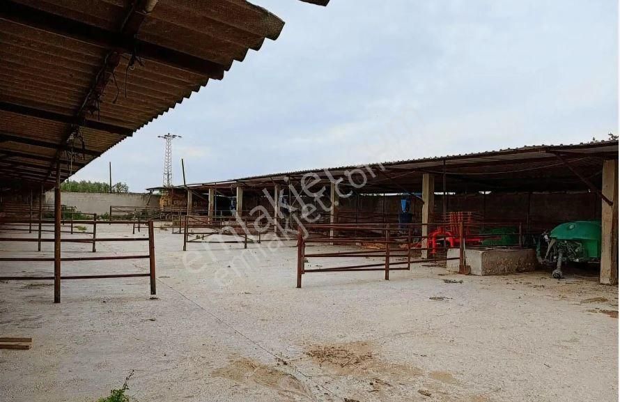 Karacabey Danişment'te 7,450 M2 Satılık Arazi - Görsel 4