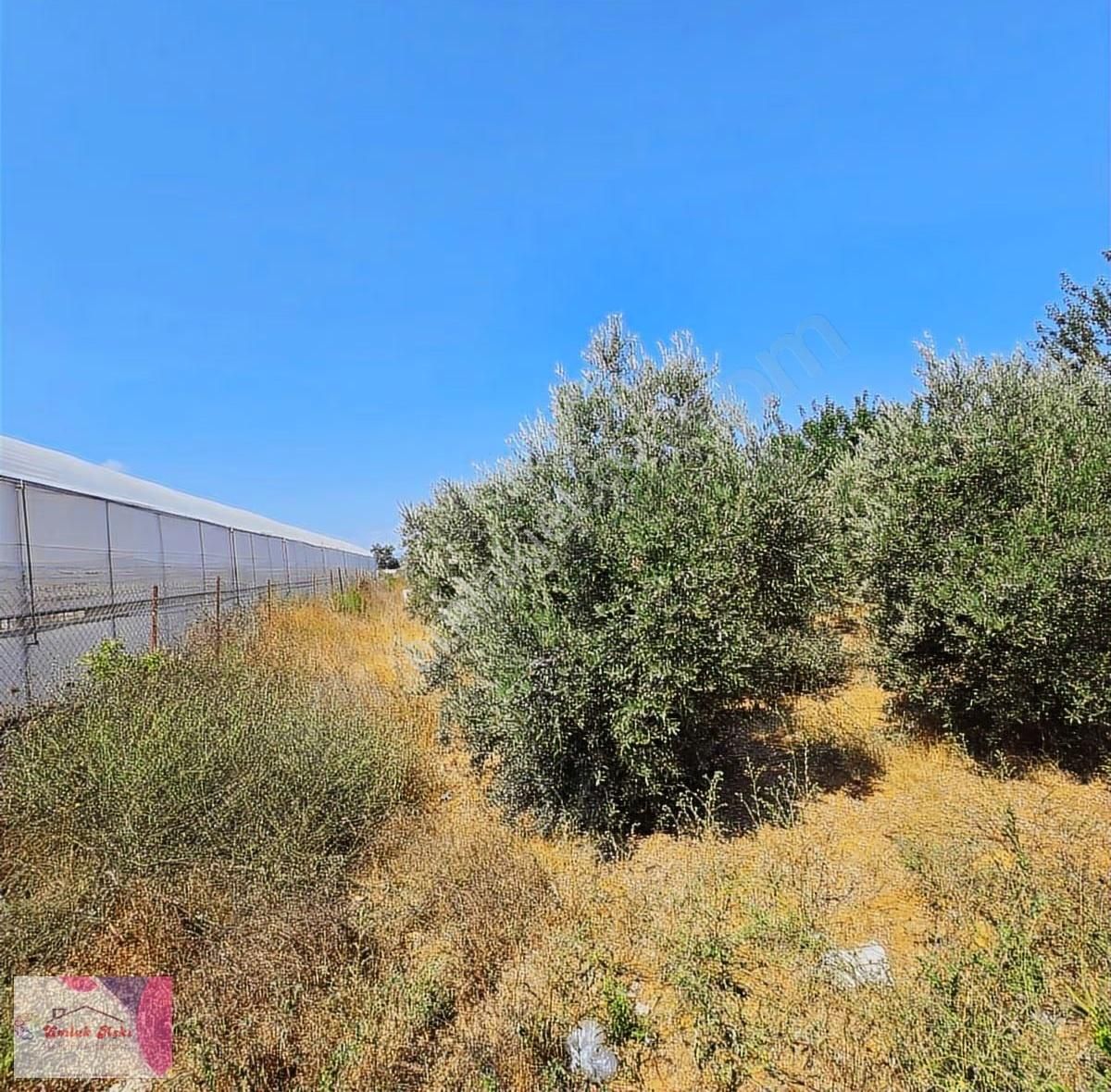 Antalya Aksu Topallı Da Satılık Tarla - Görsel 4