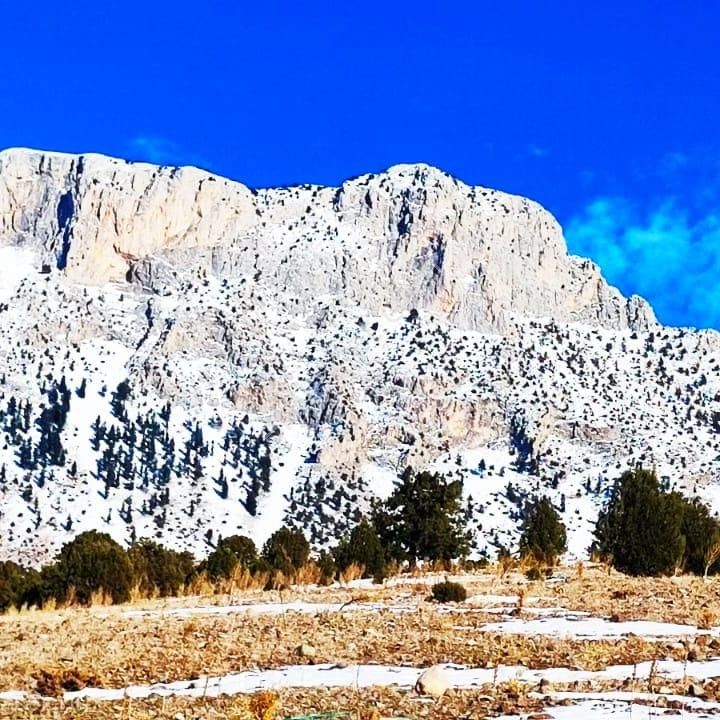 Kar Emlaktan Aşçıbekirli Fenese Mevkiinde 400 M2 Satılık Arsa - Görsel 14