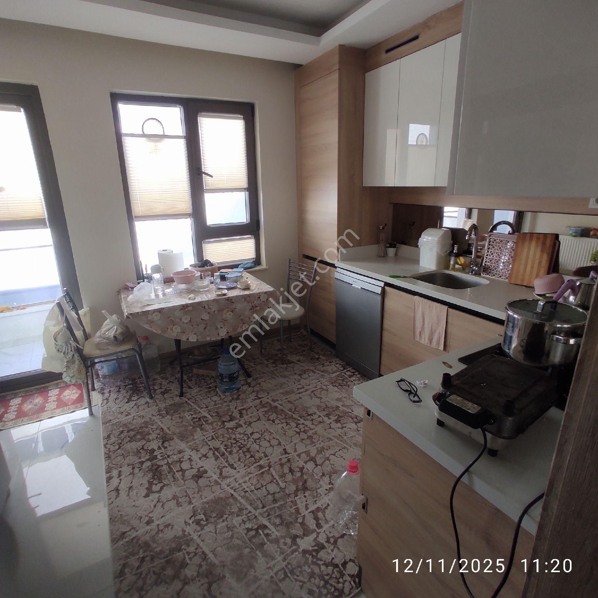 Satılık Dai - Görsel 4