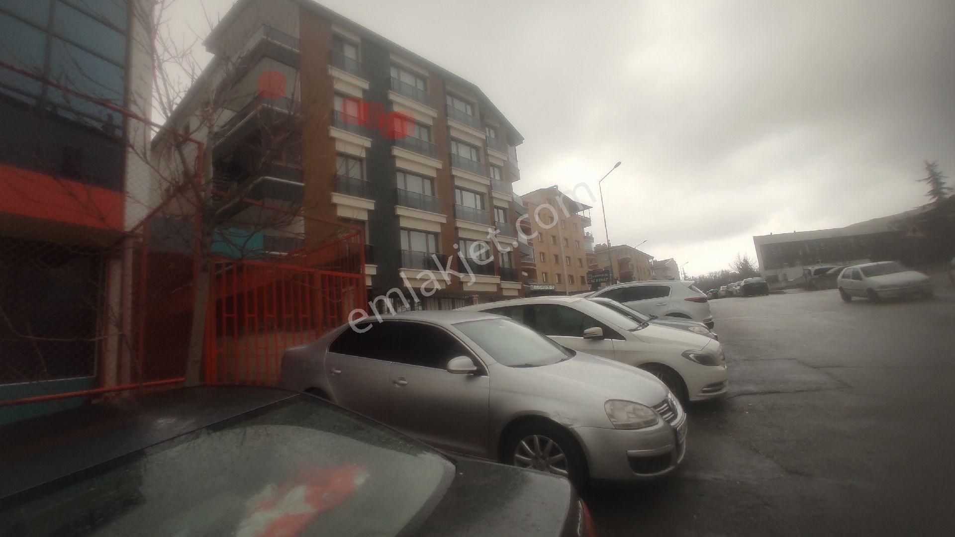 Satılık Dai - Görsel 6