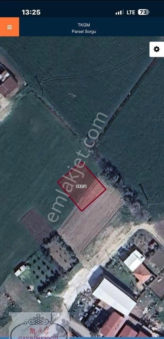 M Ş Gayrumenkulden Durasıllıda Satılık Tarla... - Görsel 3
