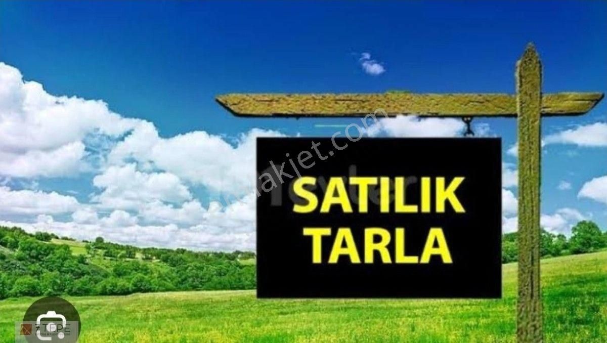 Manavgat Dolmalar Köyünde Satılık 10700m2 Tarla