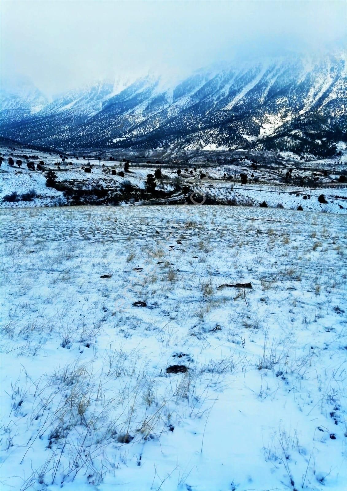 Kar Emlaktan Yazıcak Köyünde 500 M2 Satılık Arsa - Görsel 30