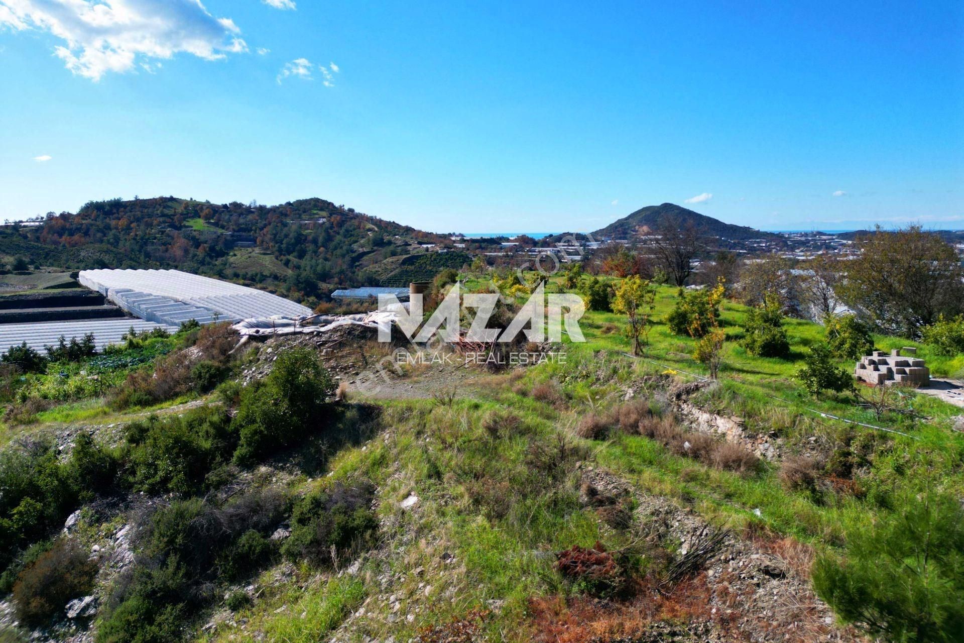 Alanya Yeniköy’de Satılık 3.584 M² Tarla - Görsel 8