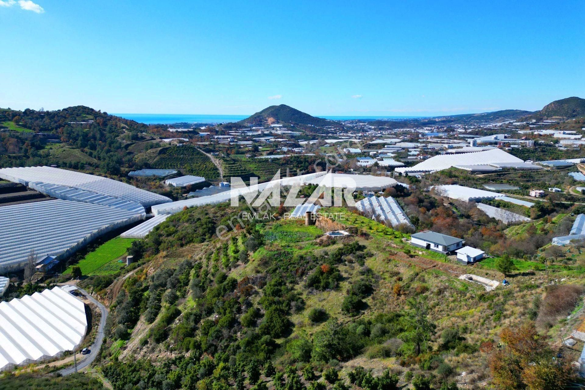 Alanya Yeniköy’de Satılık 3.584 M² Tarla - Görsel 15