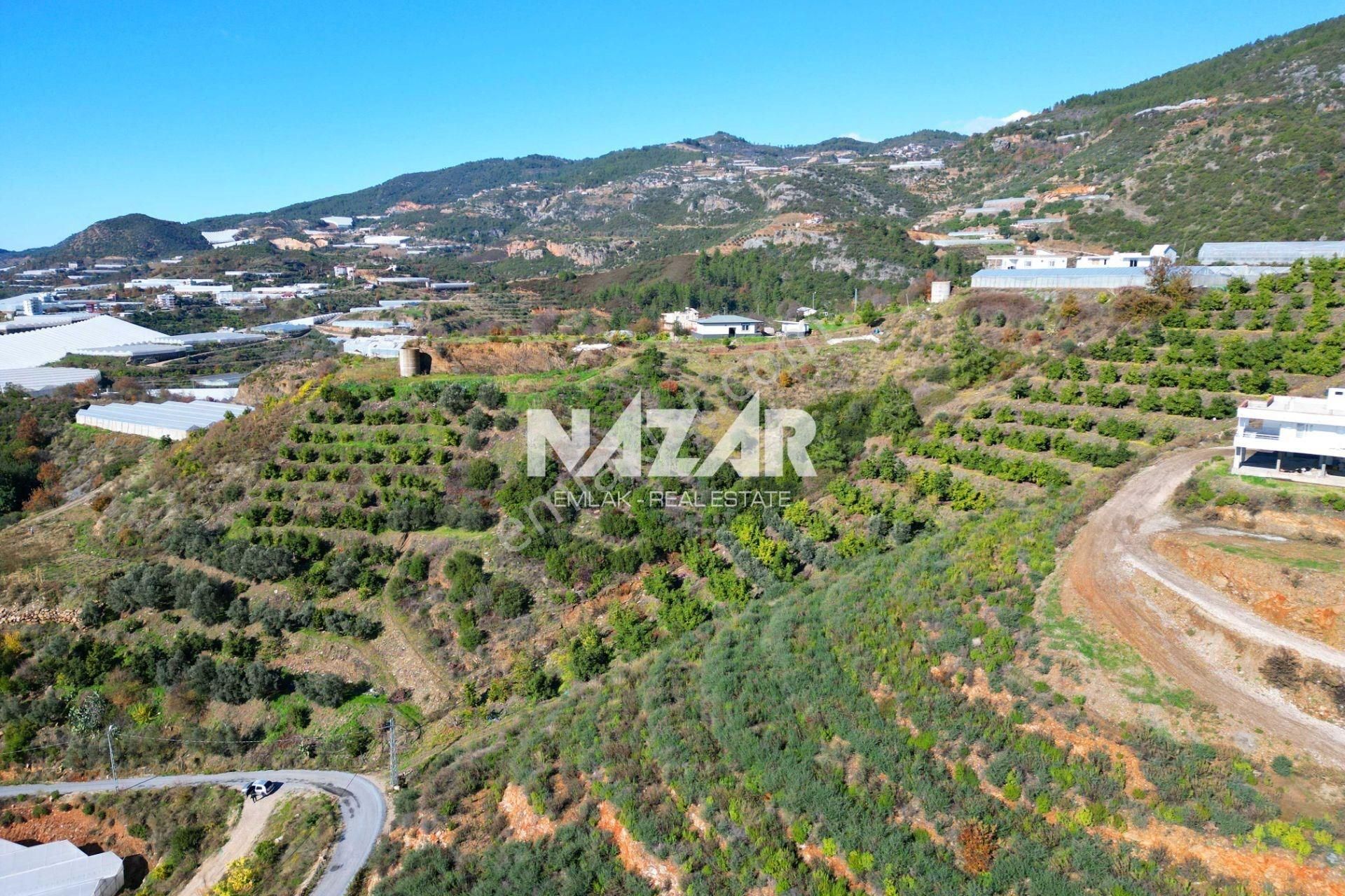 Alanya Yeniköy’de Satılık 3.584 M² Tarla - Görsel 13