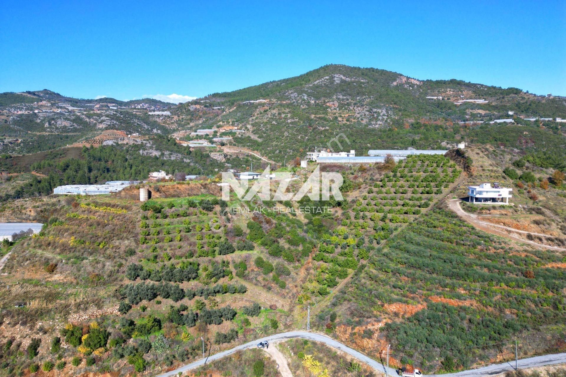 Alanya Yeniköy’de Satılık 3.584 M² Tarla - Görsel 12