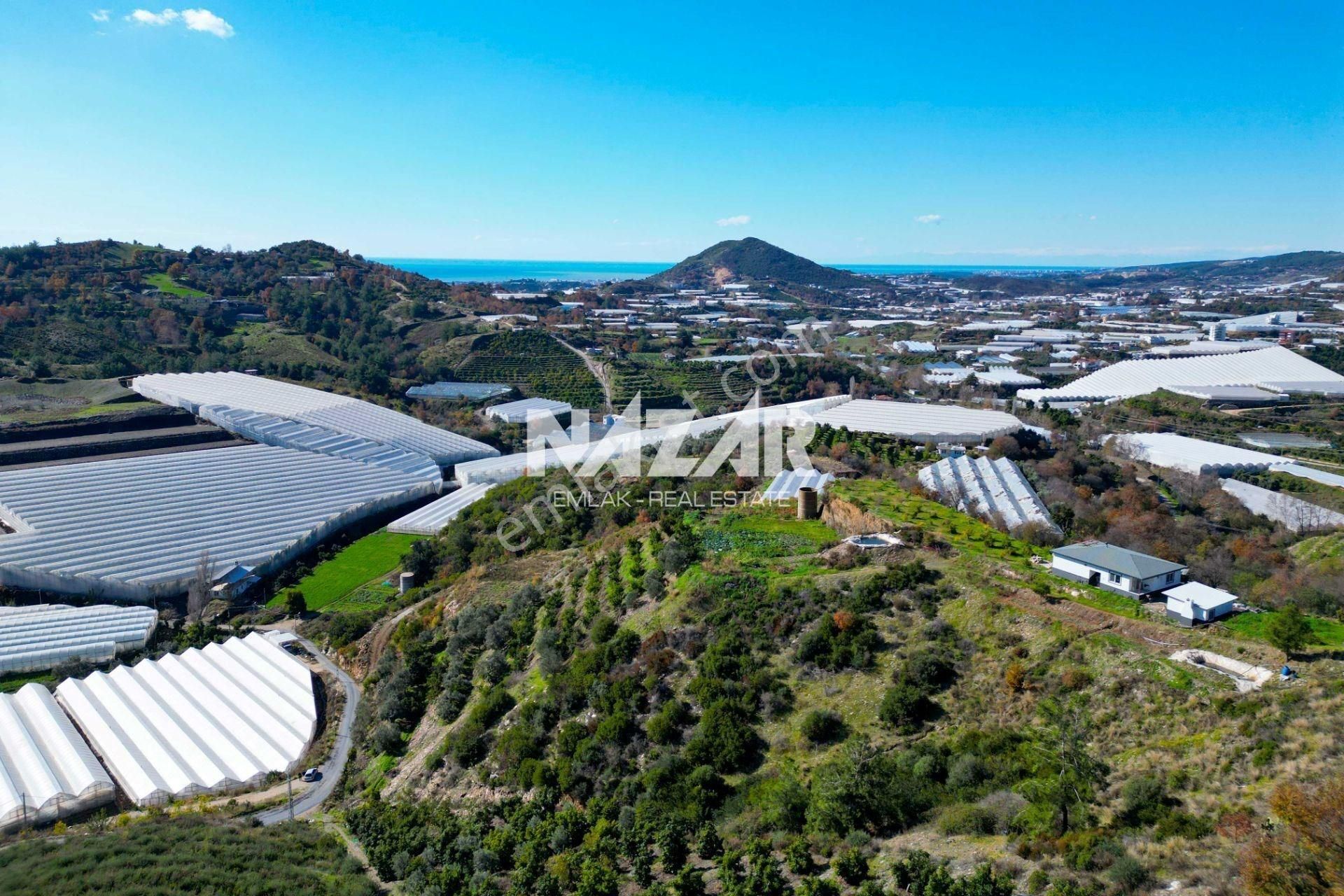 Alanya Yeniköy’de Satılık 3.584 M² Tarla - Görsel 14