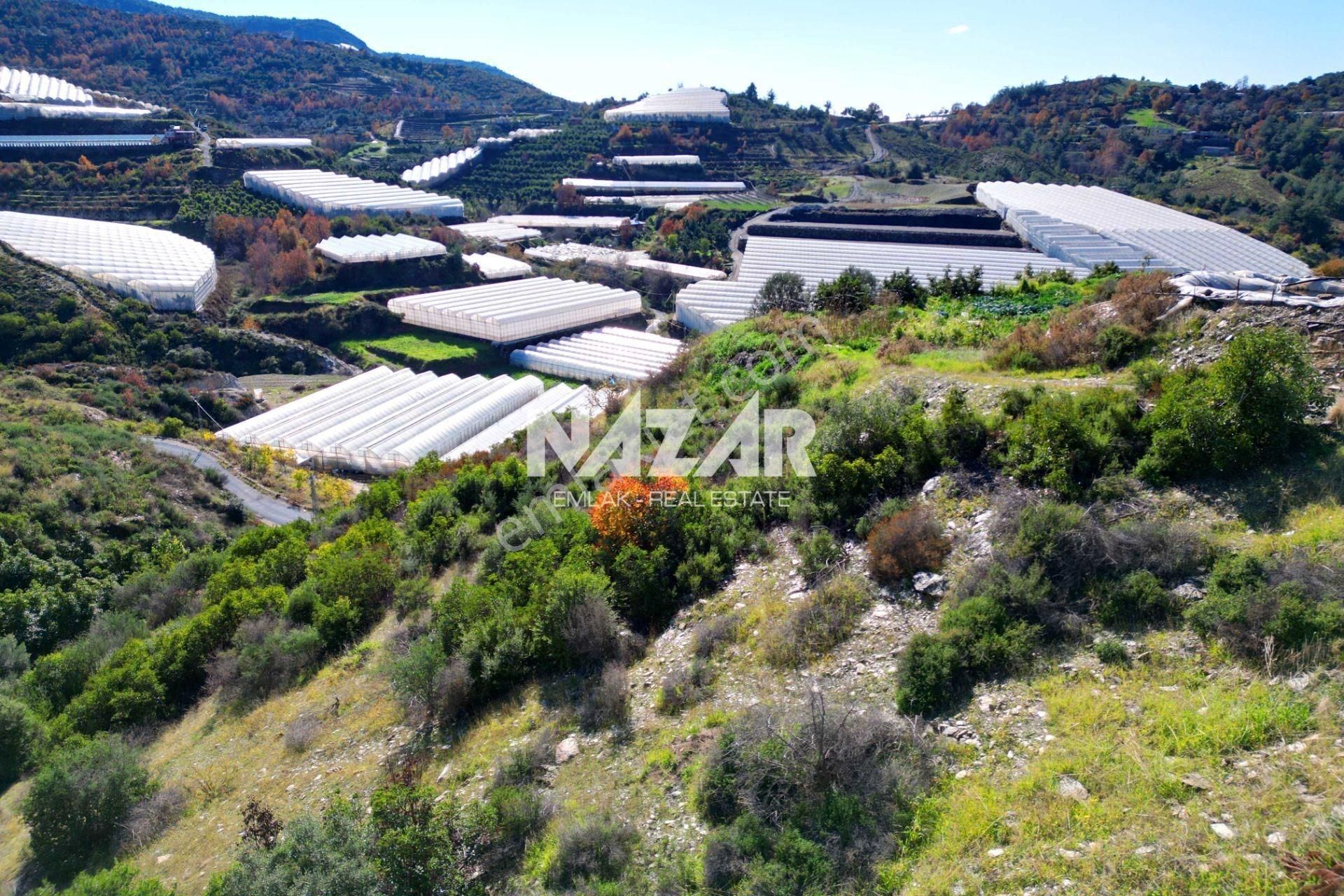 Alanya Yeniköy’de Satılık 3.584 M² Tarla - Görsel 9