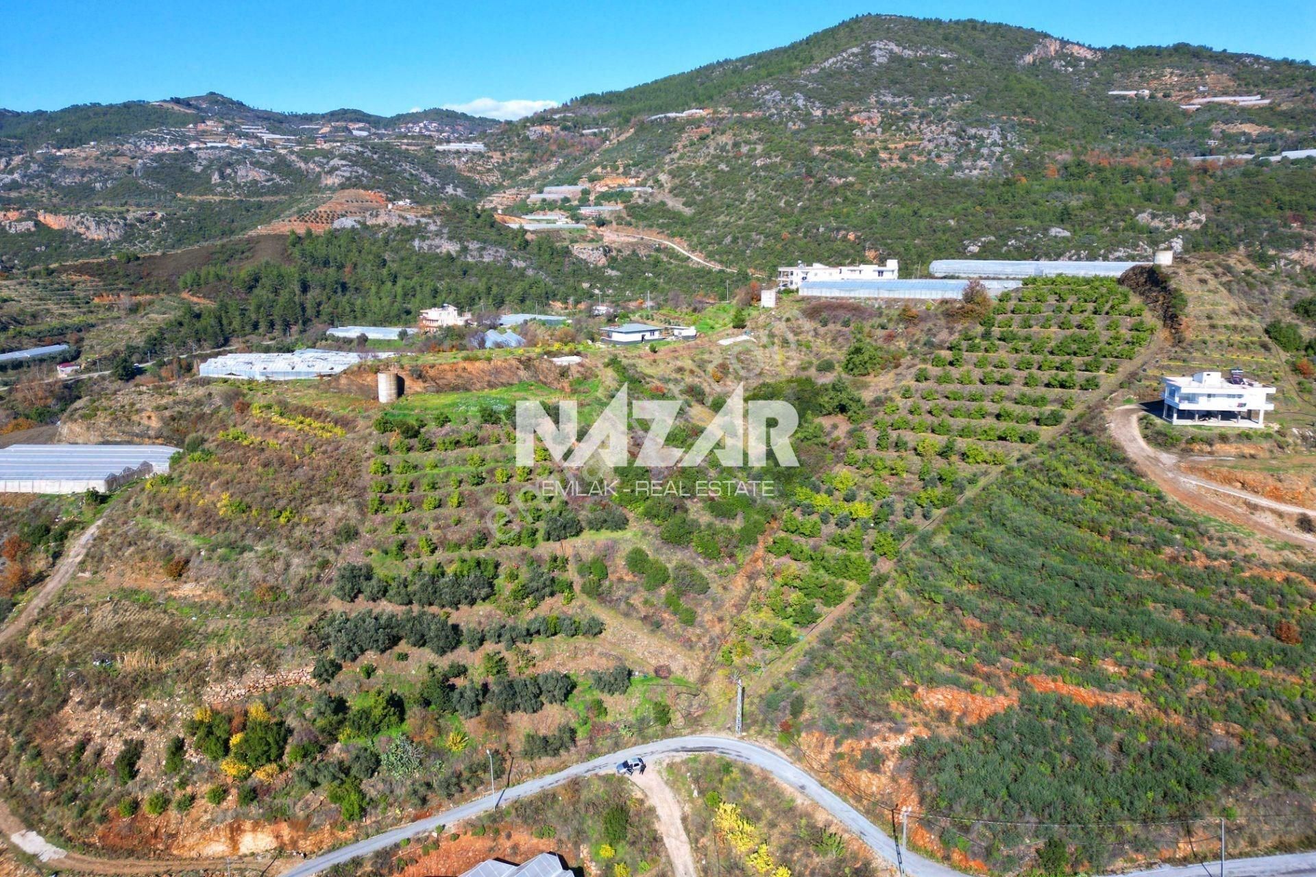 Alanya Yeniköy’de Satılık 3.584 M² Tarla - Görsel 5