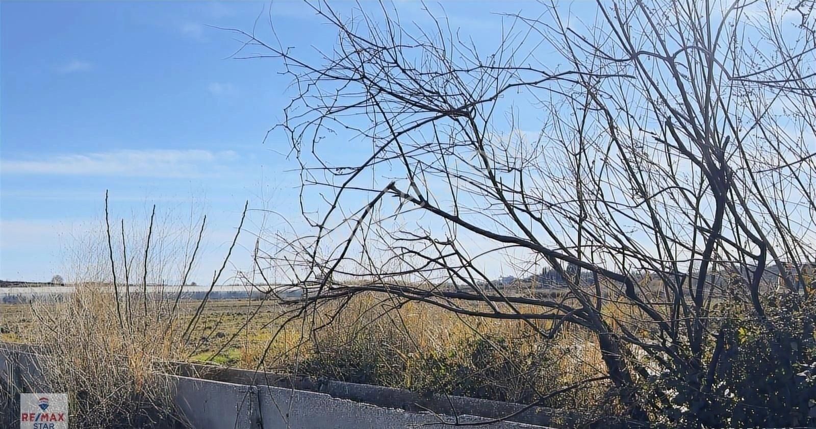 İmara Komşu Yatırımlık Satılık Tarla - Görsel 5