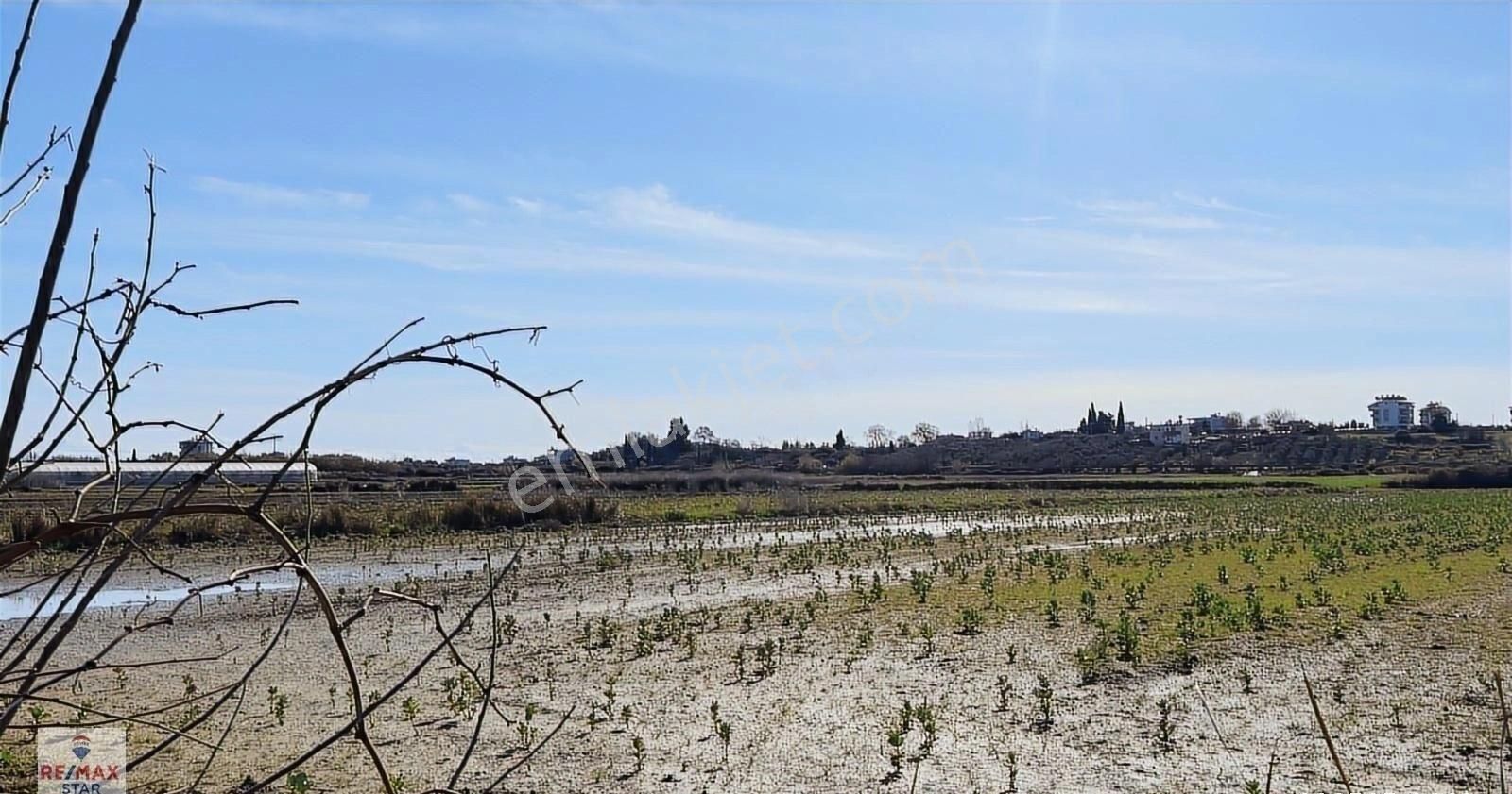 İmara Komşu Yatırımlık Satılık Tarla - Görsel 2