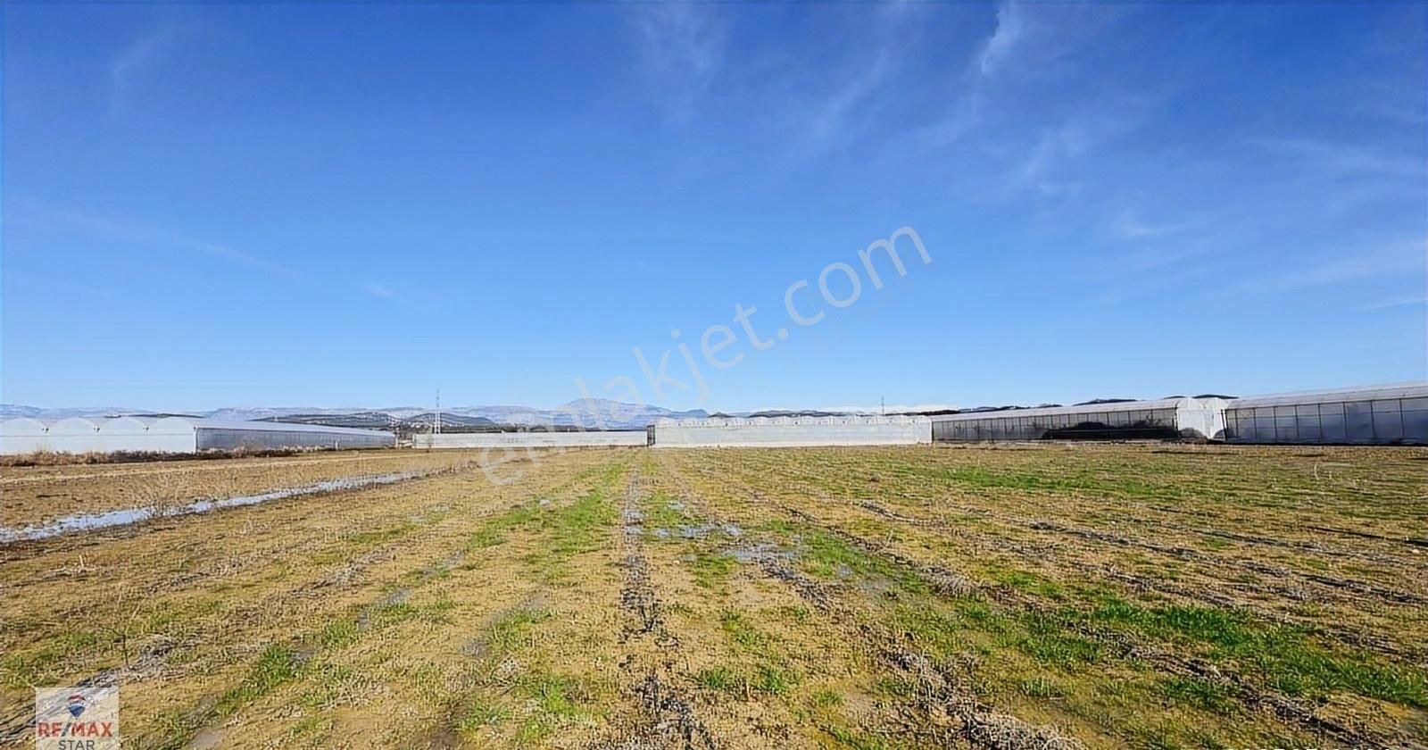 İmarlı Planına 350 Metre Mesafede Hobi Bahçesi,yatırımlık Arazi - Görsel 11