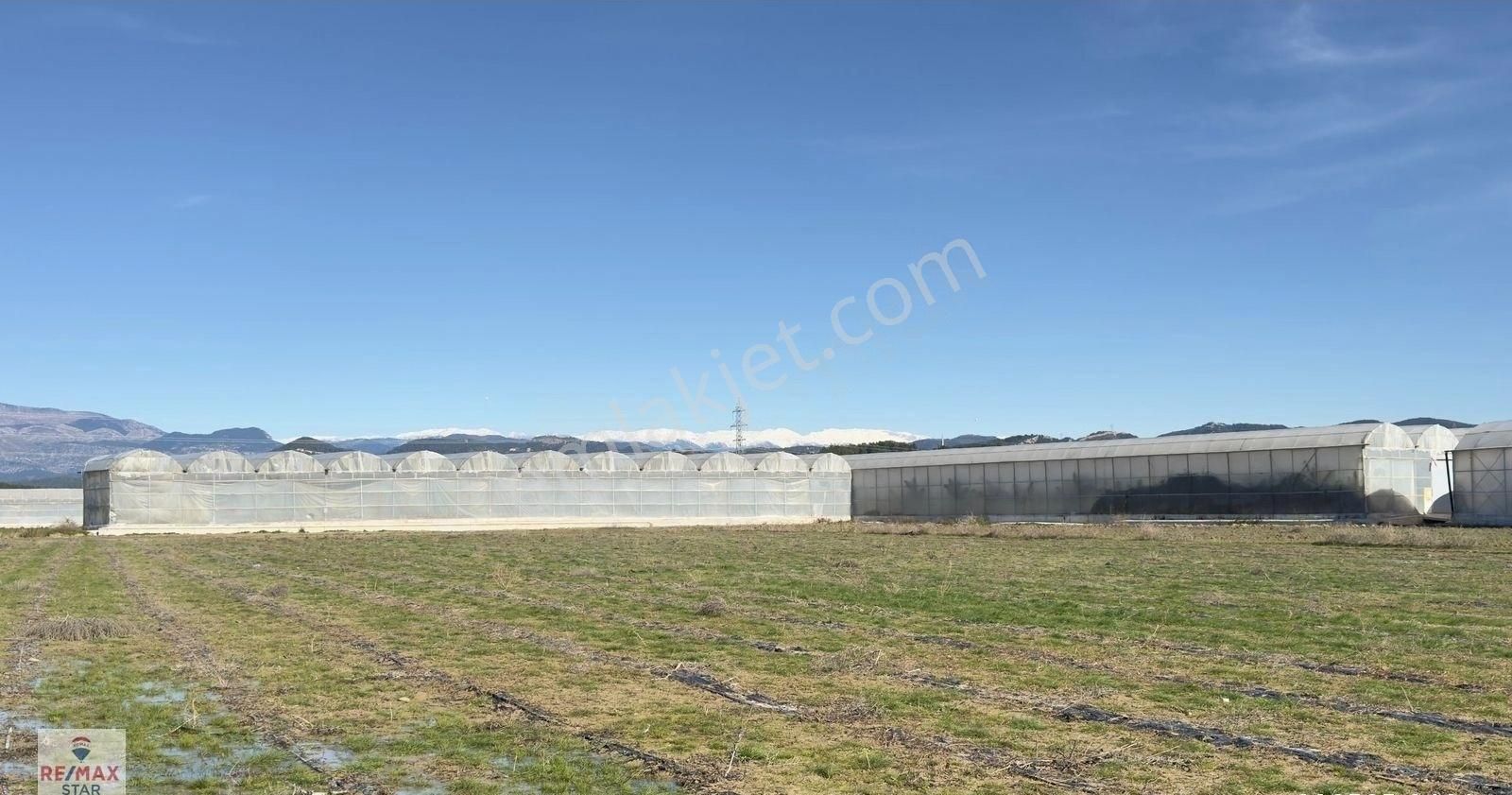 İmarlı Planına 350 Metre Mesafede Hobi Bahçesi,yatırımlık Arazi - Görsel 8