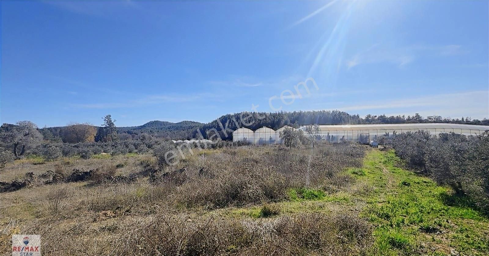 Köy Merkezine 100 Metre Mesafede Satılık Hobi Bahçesi - Görsel 14