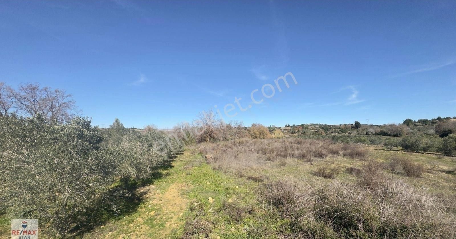 Köy Merkezine 100 Metre Mesafede Satılık Hobi Bahçesi - Görsel 10