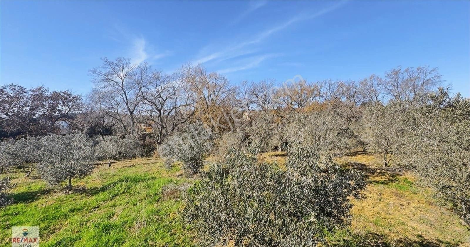 Köy Merkezine 100 Metre Mesafede Satılık Hobi Bahçesi - Görsel 12