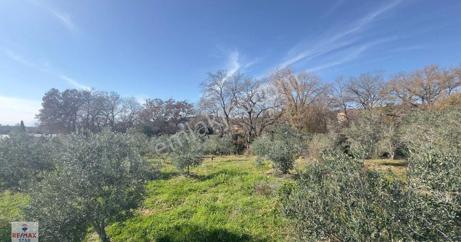 Köy Merkezine 100 Metre Mesafede Satılık Hobi Bahçesi - Görsel 9