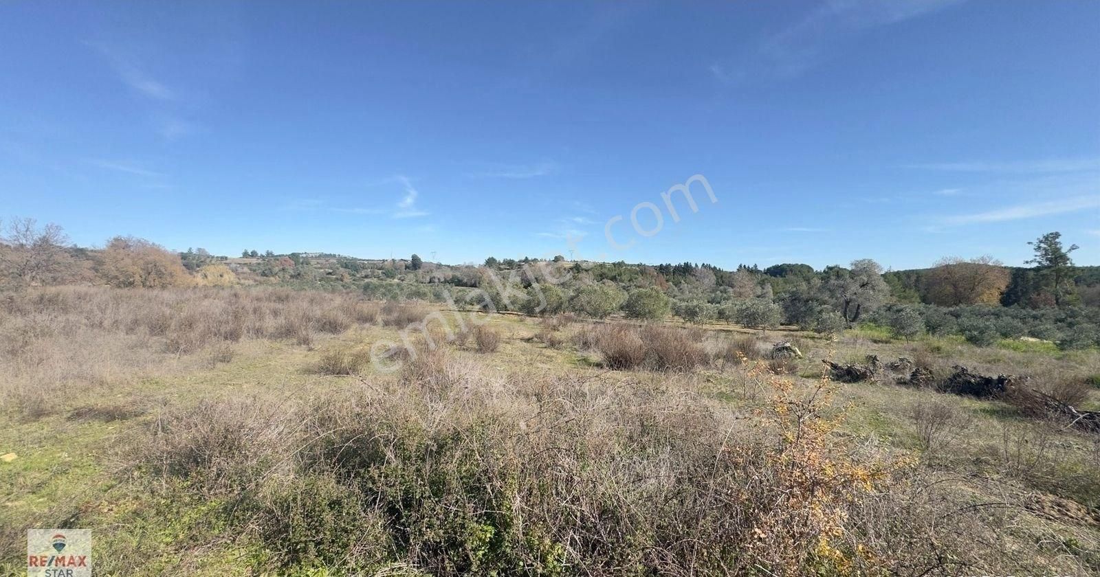 Köy Merkezine 100 Metre Mesafede Satılık Hobi Bahçesi - Görsel 8