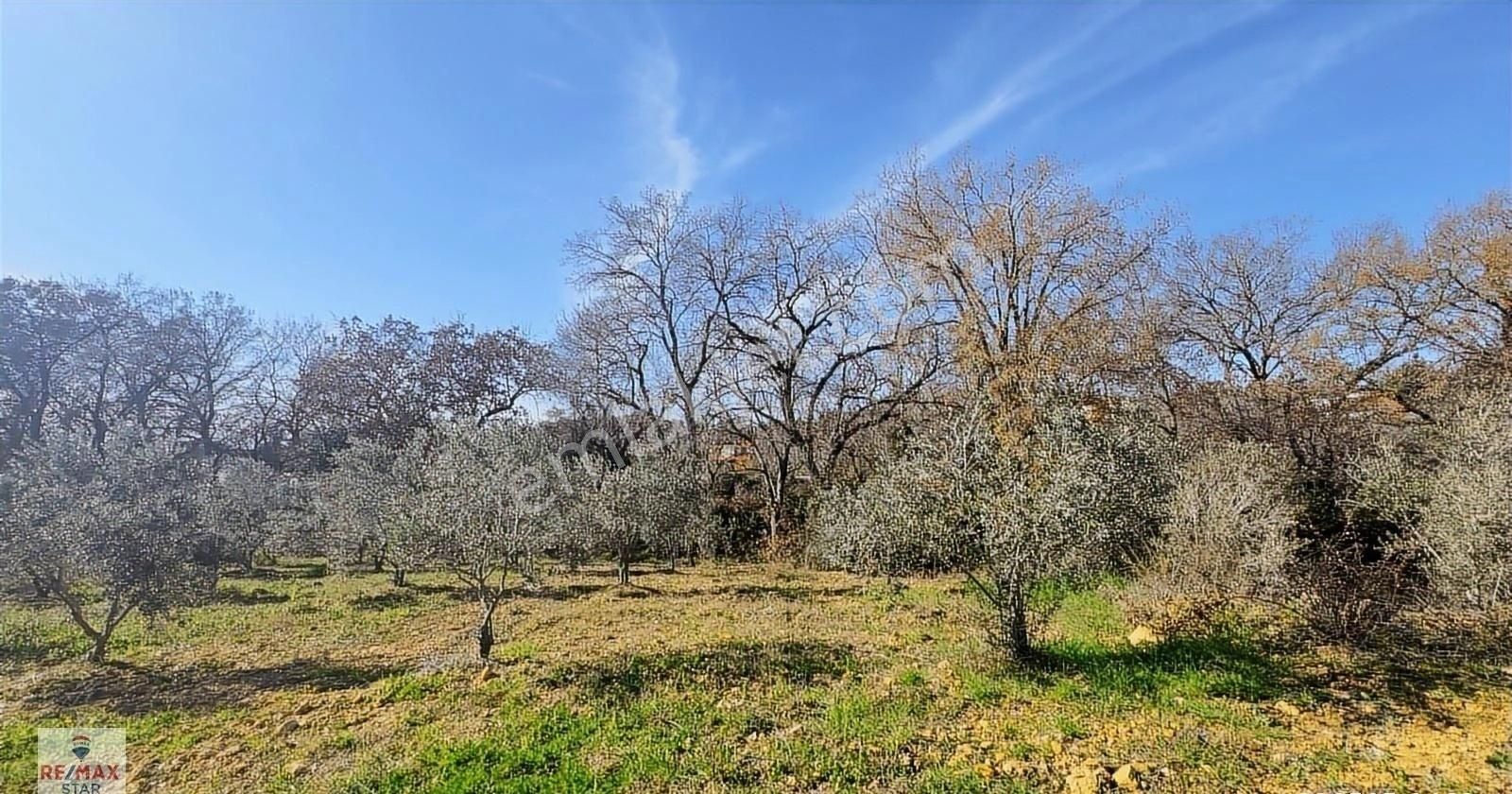 Köy Merkezine 100 Metre Mesafede Satılık Hobi Bahçesi - Görsel 2