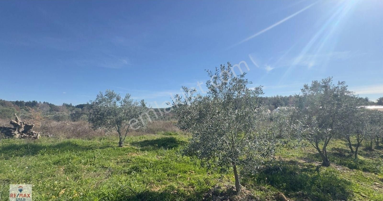 Köy Merkezine 100 Metre Mesafede Satılık Hobi Bahçesi - Görsel 11