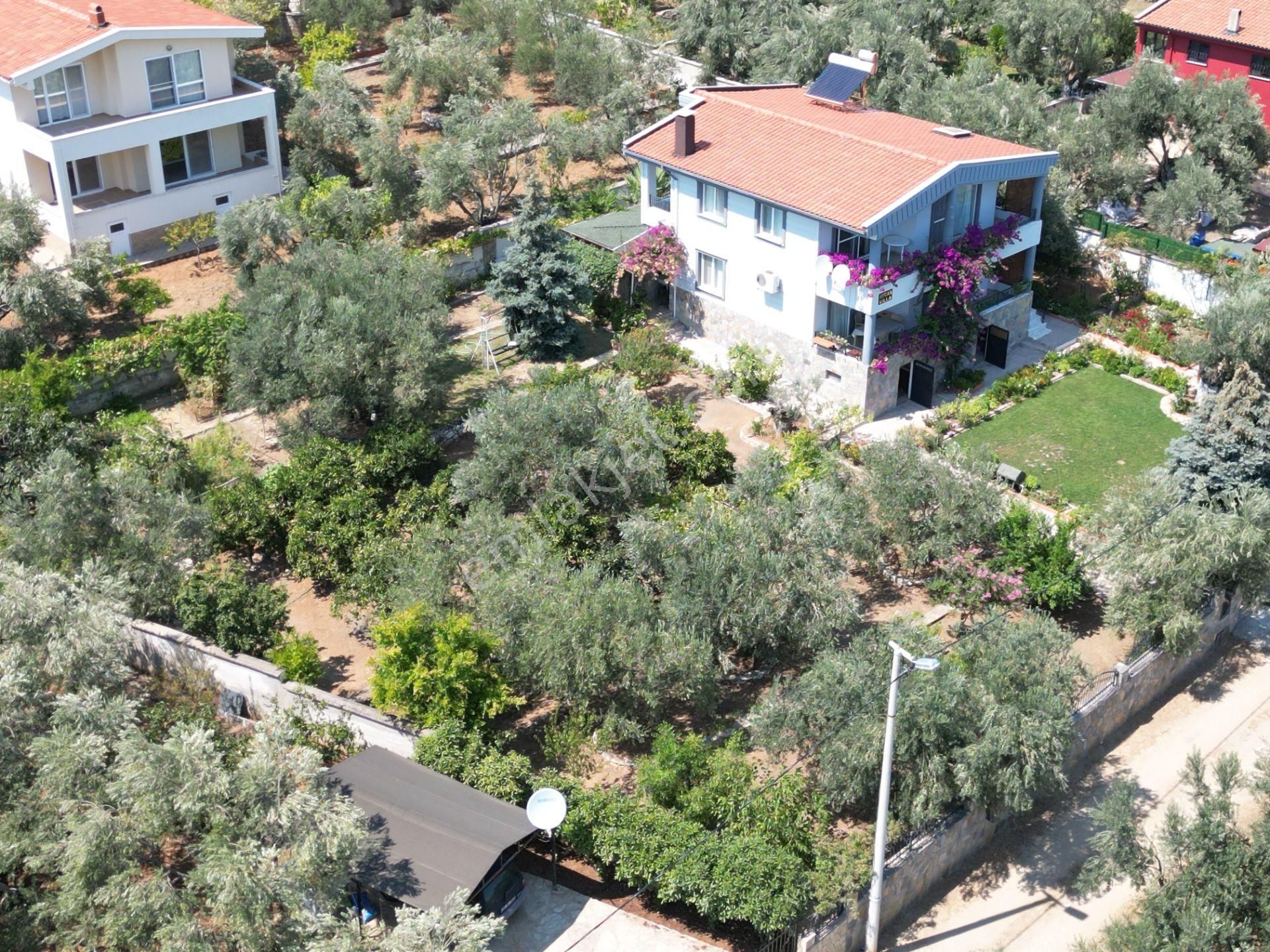 Poyraz Gayrimenkul'den Altınoluk'ta Satılık Müstakil Ev - Görsel 4