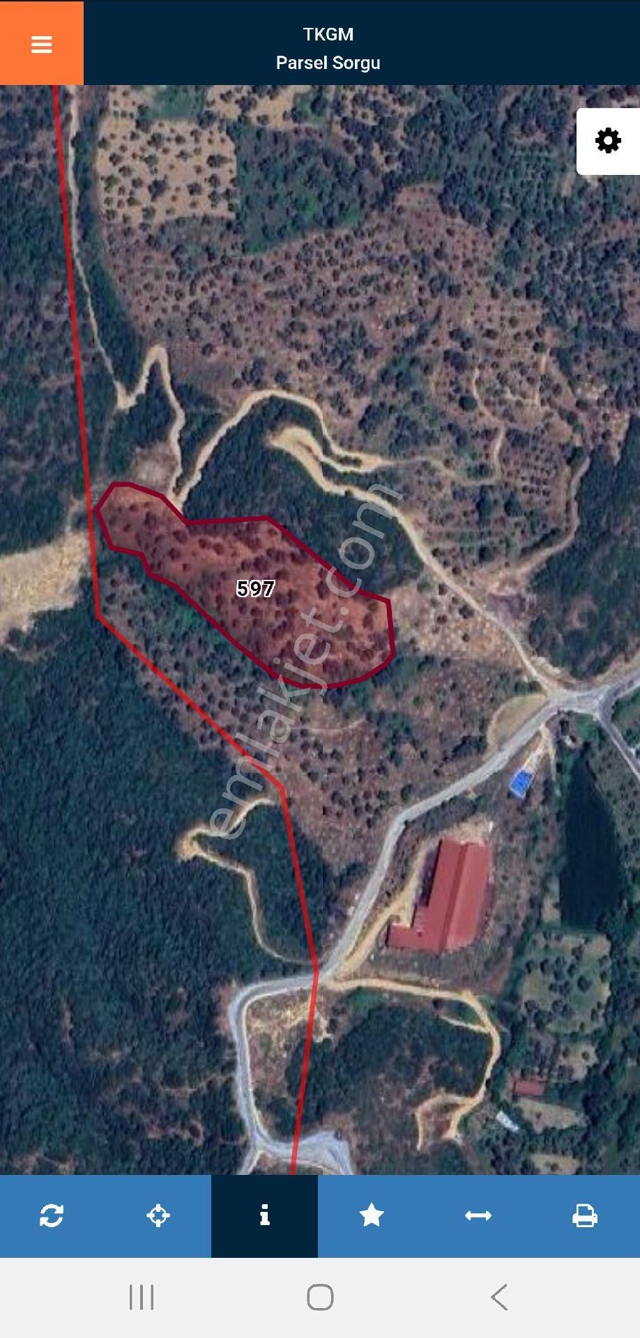 İzmir Beydağ Erikli'de 9.300 M2 Zeytin Ve İncir Bahçesi. Açıklamayı Okuyunuz. - Görsel 6