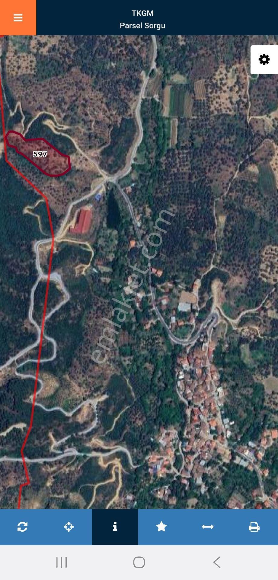 İzmir Beydağ Erikli'de 9.300 M2 Zeytin Ve İncir Bahçesi. Açıklamayı Okuyunuz. - Görsel 5