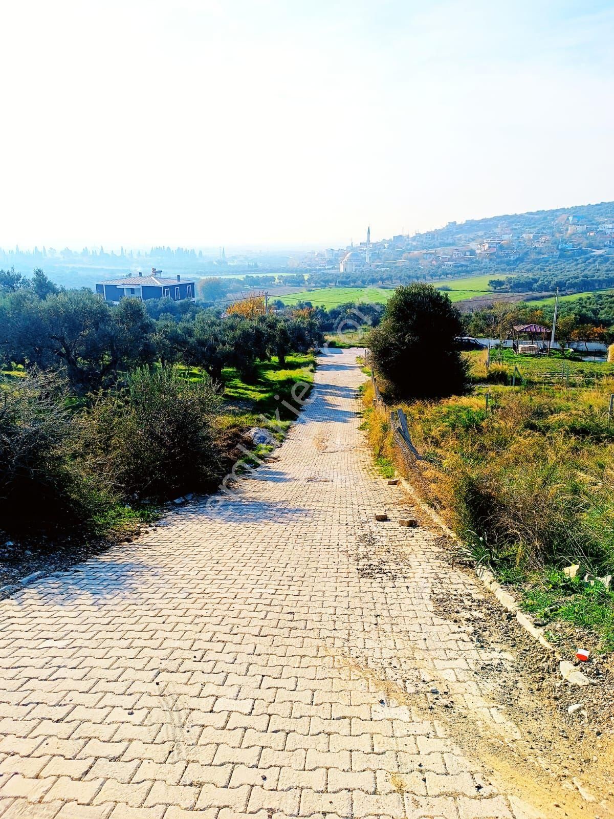 Torbalı Çapak'ta Elektrik Su Mevcut Olan Satılık 318 M² Tarla