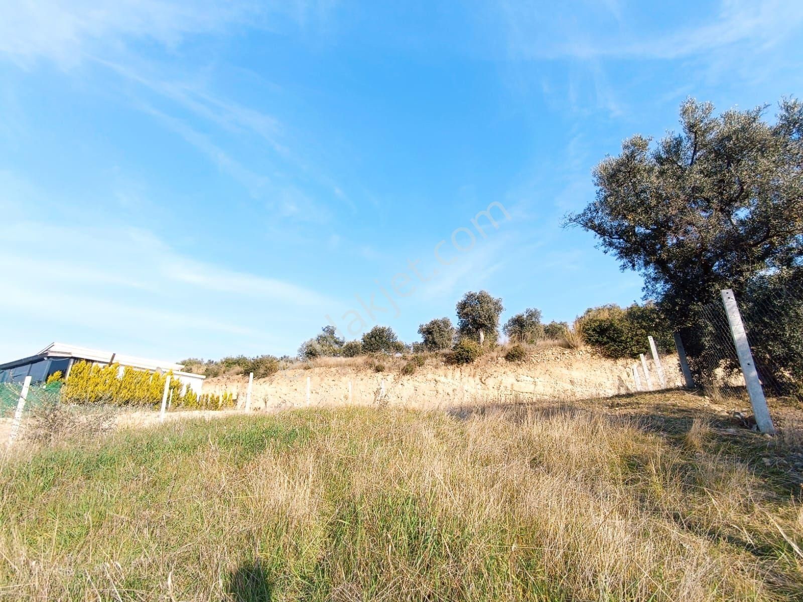 Torbalı Çapak'ta Elektrik Su Mevcut Olan Satılık 318 M² Tarla - Görsel 5