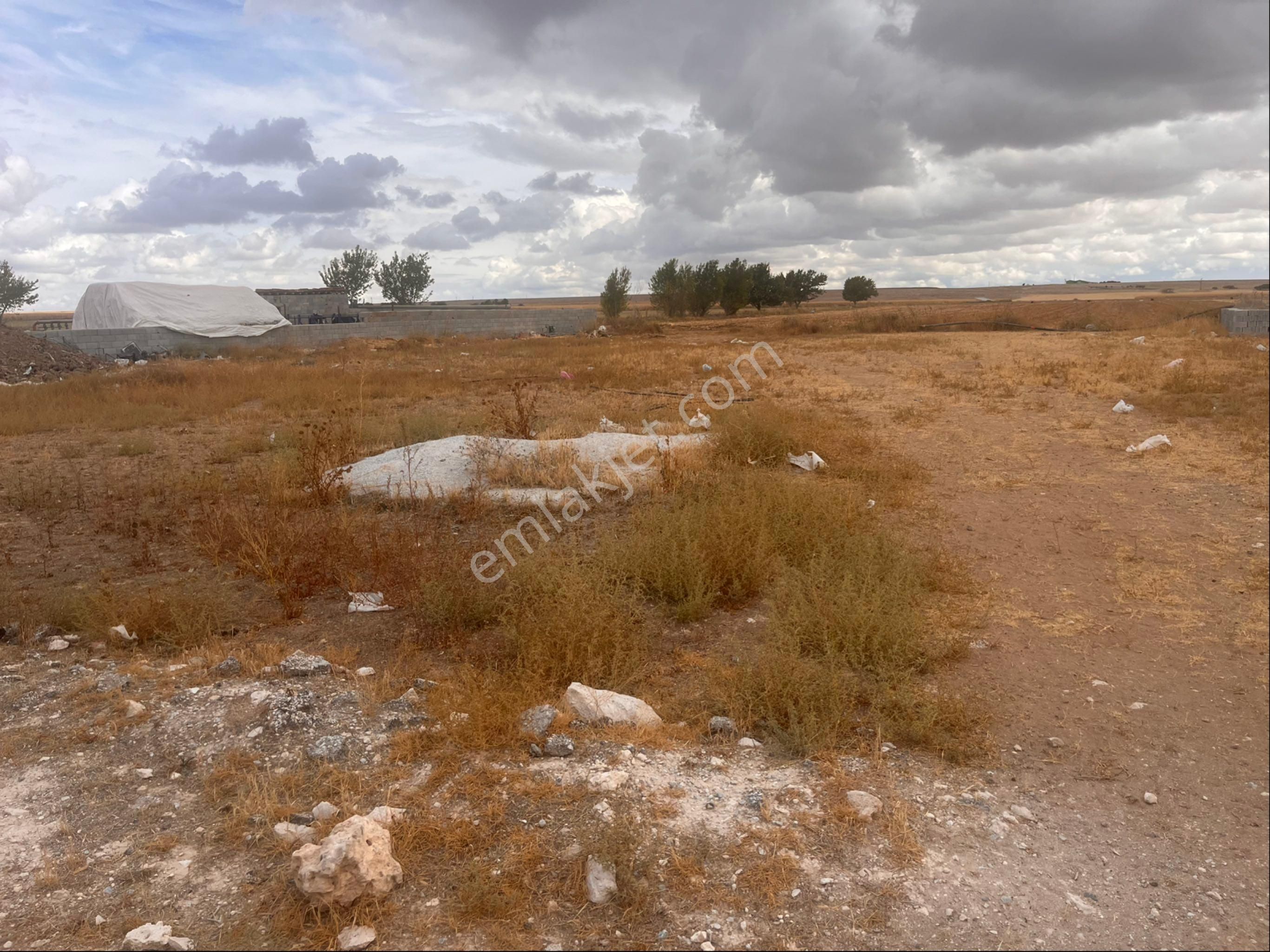 Eskil Merkezde Sahibinden 1652 M2 Arsa Cadde Üzeri - Görsel 18