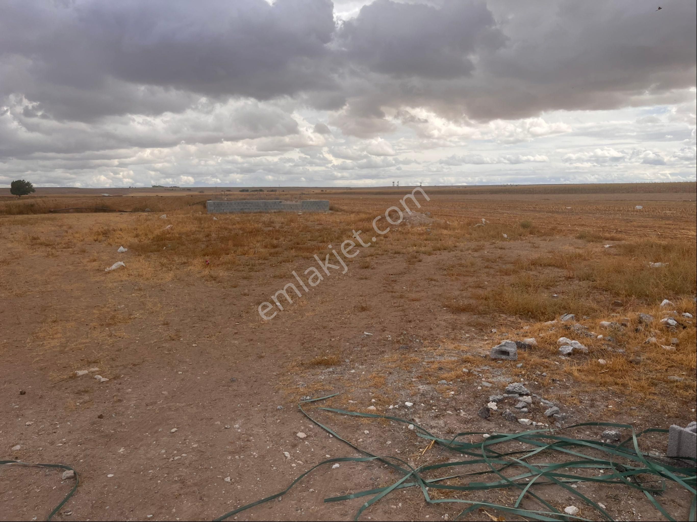Eskil Merkezde Sahibinden 1652 M2 Arsa Cadde Üzeri - Görsel 4