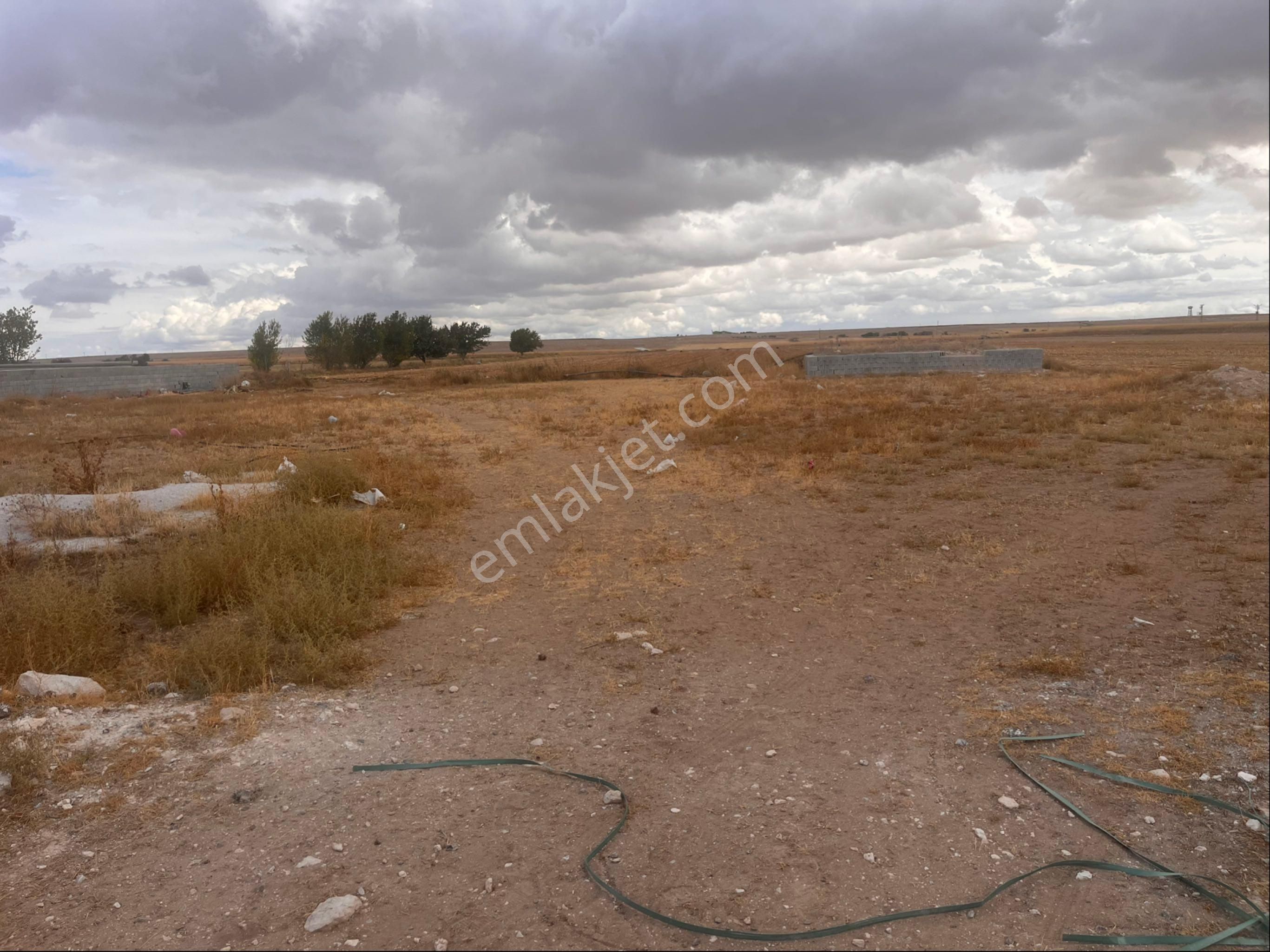 Eskil Merkezde Sahibinden 1652 M2 Arsa Cadde Üzeri - Görsel 5