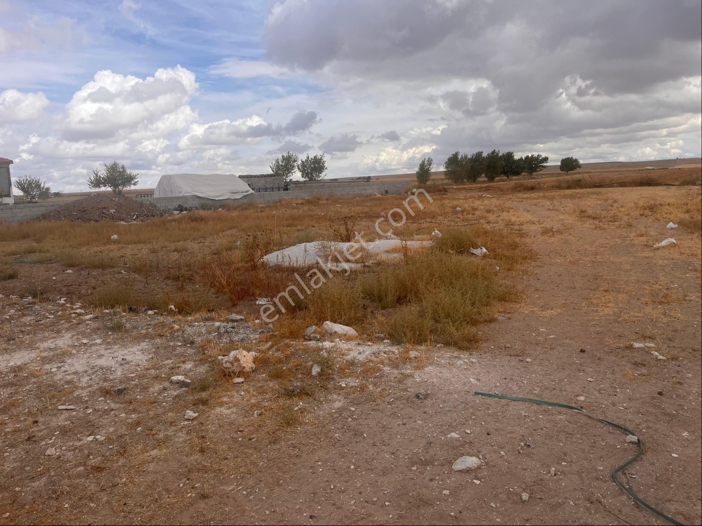 Eskil Merkezde Sahibinden 1652 M2 Arsa Cadde Üzeri - Görsel 6