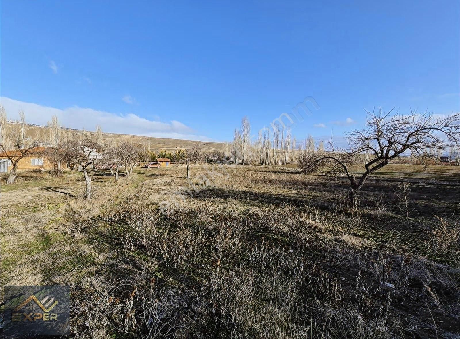Exper Gayrimenkul'den Kozkayı Da Ev,elektrik Ve Suyu Olan Tarla - Görsel 2