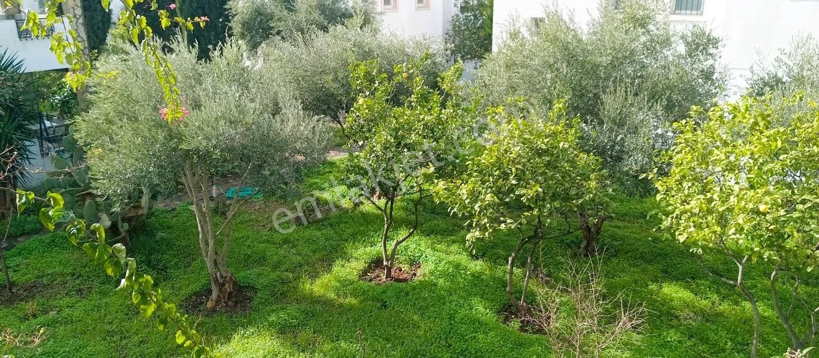 Turgutreis Merkez Butik Site İçi Kiralık 3+1 Daire - Görsel 25