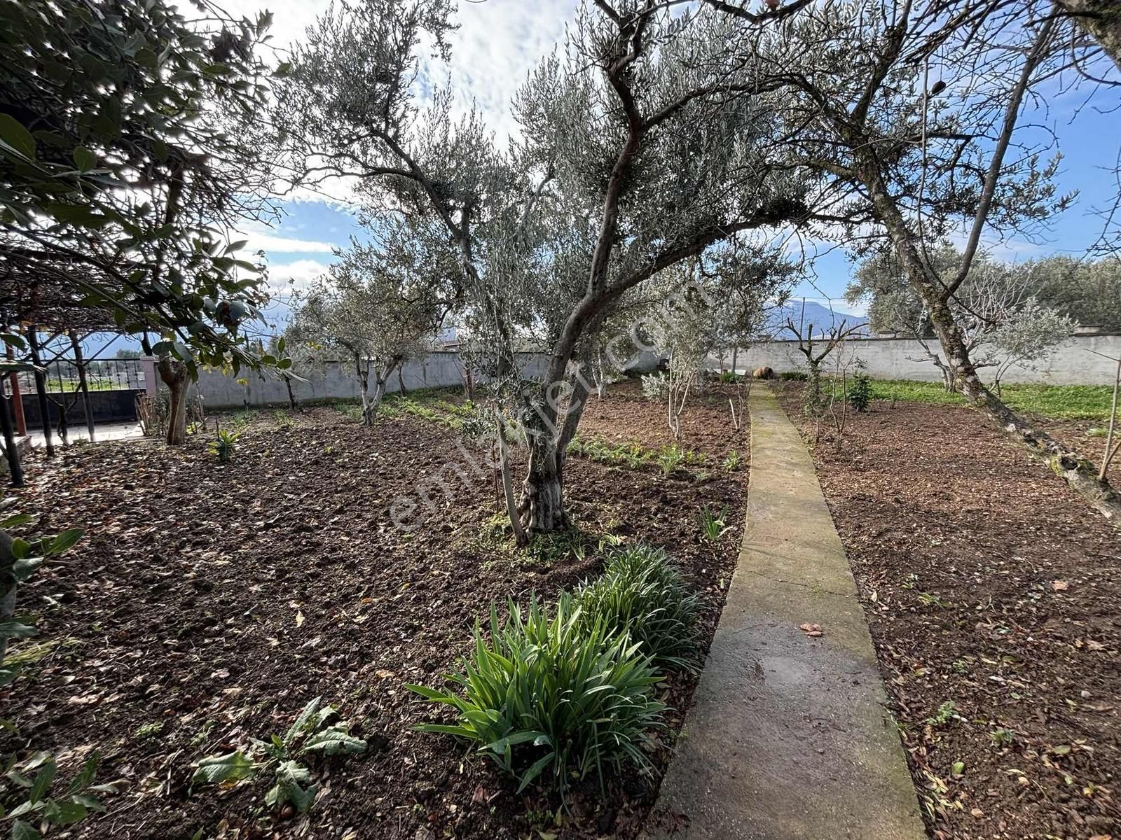 Sütçüler'de Satılık Tek Tapu 8000 M2 İçinde Müstakil Ev - Görsel 3