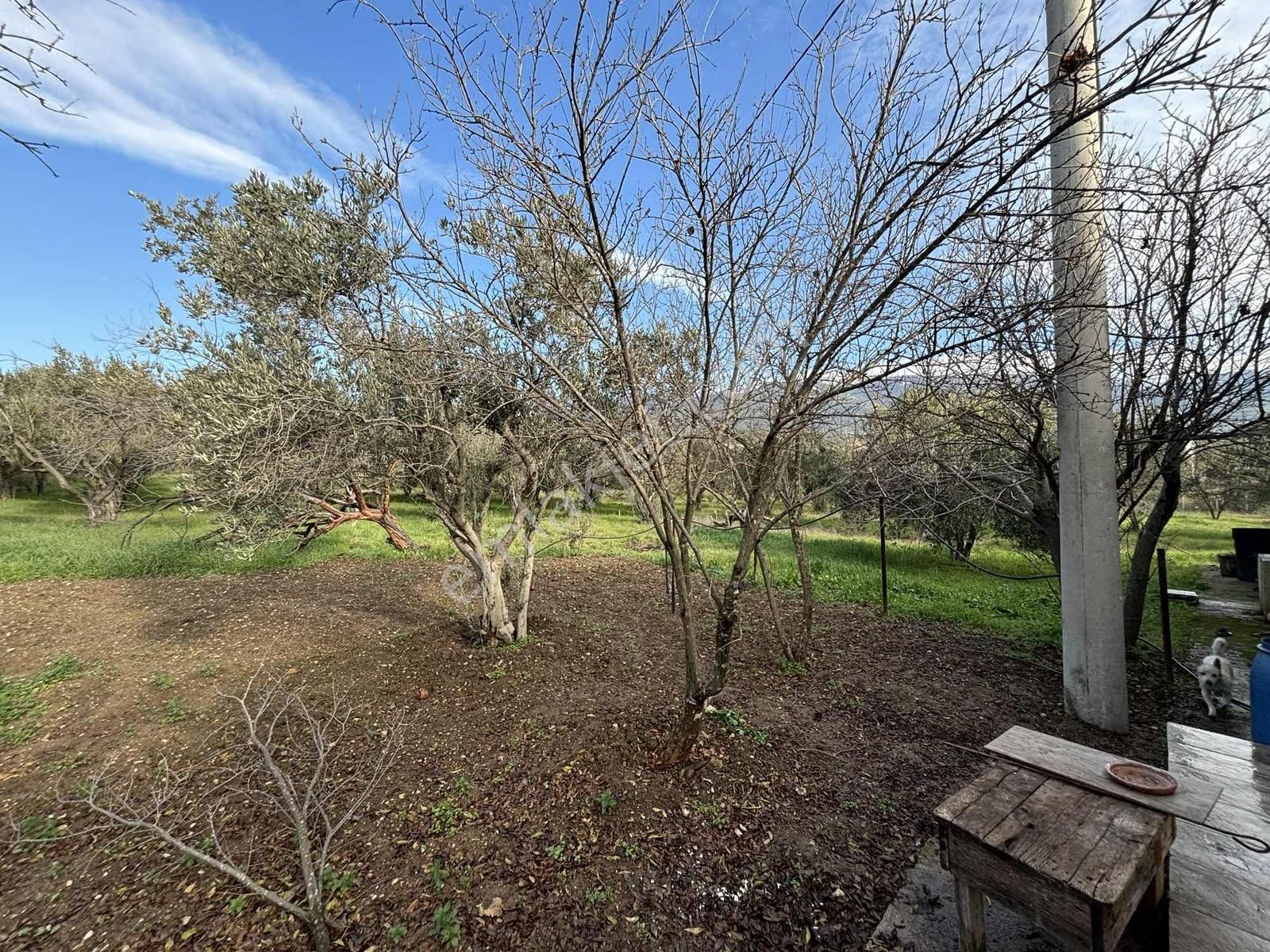 Sütçüler'de Satılık Tek Tapu 8000 M2 İçinde Müstakil Ev - Görsel 2