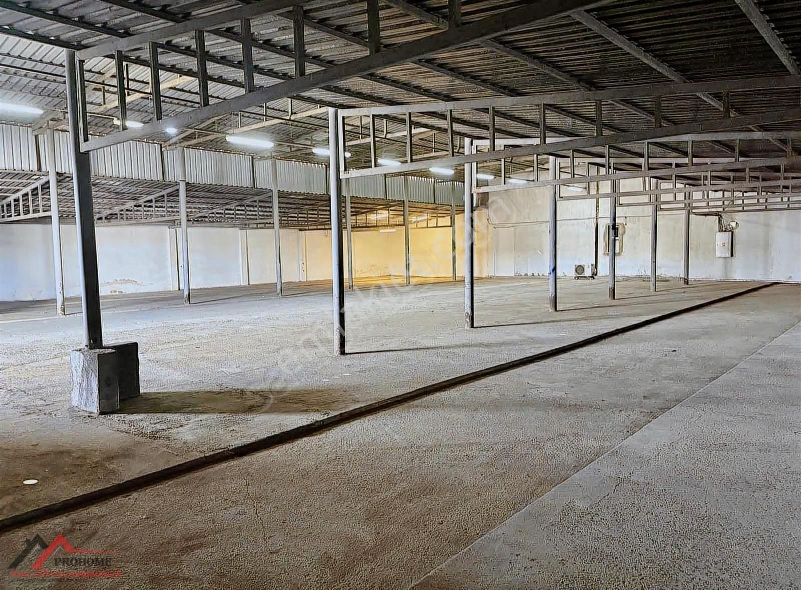 İzmir Aliağa'da 1.125 M2 Geniş Kullanımlı Kiralık Depo - Görsel 7