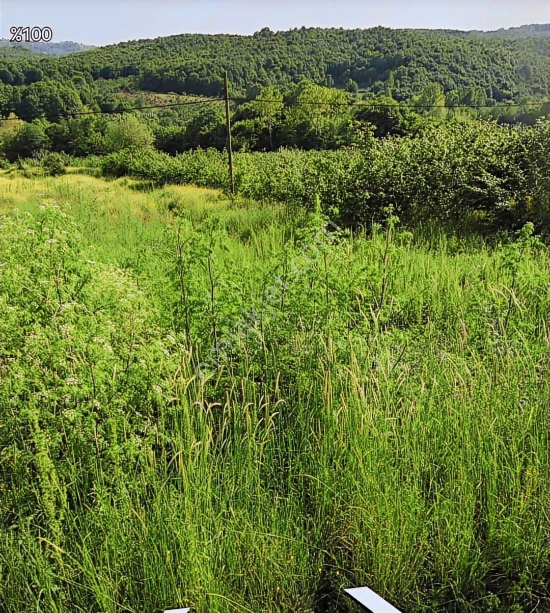 Tarcanlardan Kandırada Fırsat Tarla